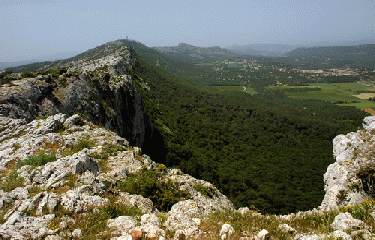 RIBOUX - LA SAINTE BAUME