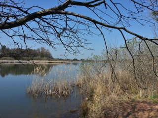 CANNET ET PLAINE DES MAURES-var