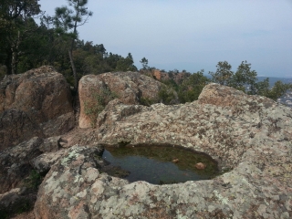 BAGNOLS-EN-FORET-var