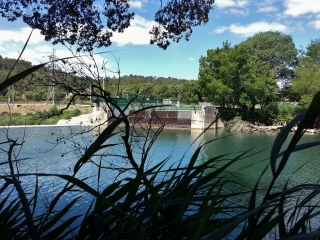 VIDAUBAN - PONT NATUREL-var