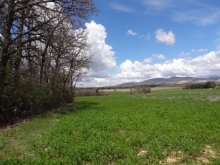 AUREL - ST TRINIT-vaucluse