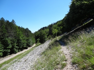 CHALET REYNARD -vaucluse