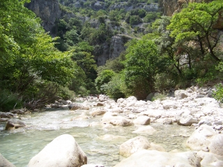 LE TOULOURENC-vaucluse