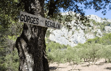 FORET DU LUBERON-vaucluse