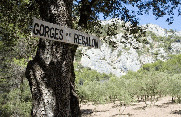 FORET DU LUBERON-vaucluse