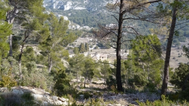 SAUMANE-DE-VAUCLUSE-vaucluse