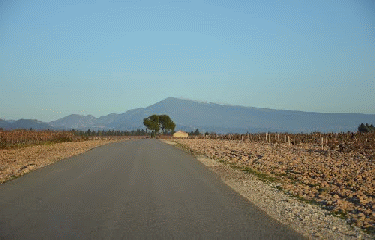 CHATEAU-NEUF-DU-PAPE-vaucluse