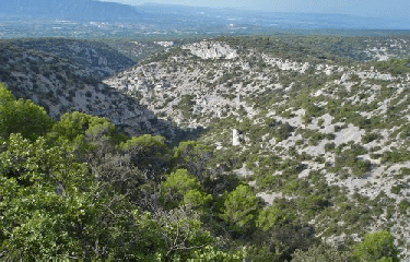 JAS DU GRIFFON-vaucluse