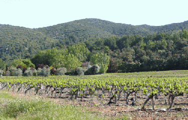 LOURMARIN-vaucluse