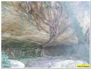 SIVERGUES - VALLON DE SERRE-vaucluse