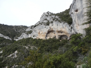 ARCHE DU MASSIF DES CEDRES-vaucluse