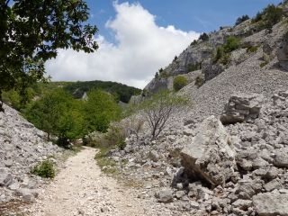STE COLOMBE - LE VENTOUX-vaucluse