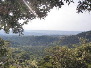 PUYMERAS - SENTIER DES GEANTS-vaucluse