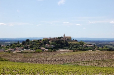 CAIRANNE - SERRE DE LA GARDE-vaucluse