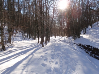 ST-ESTEVE - CHALET REYNARD-vaucluse