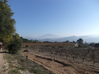 ROAIX - COMBE DU BON POIRIER-vaucluse