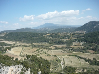 CRETE DES DENTELLES SARRASINES-vaucluse