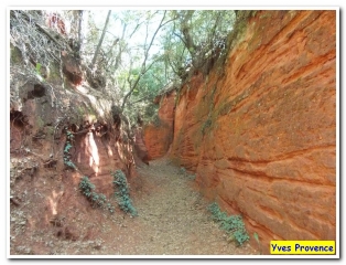 LES OCRES - LES CHATAIGNIERS - LAC DE MORMOIRON-vaucluse