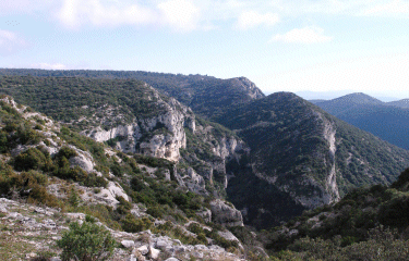 Vallon du Degoutau-vaucluse