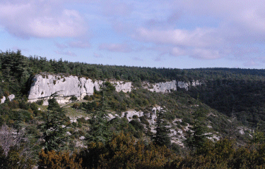 Vallon du Degoutau-vaucluse