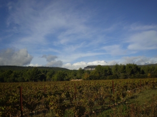 PLAINE DE ST-SATURNIN-LES-APT-vaucluse