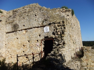 SERIGNAN-DU-COMTAT - BOIS D UCHAUX-vaucluse