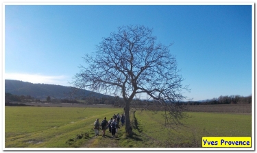 GRAMBOIS - RUINES DES TEMPLIERS-vaucluse