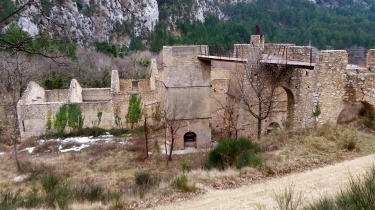 MALAUCENE - MONTAGNE DE PIAUD-vaucluse