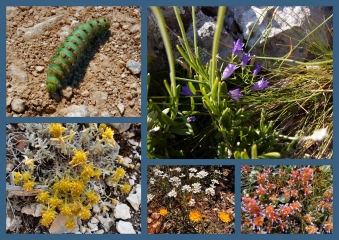 LAGNES - CABRIERES D AVIGNON - LAGNES-vaucluse