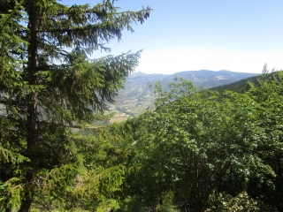 LA TUNE PAR LE COL DE LA FRACHE-vaucluse