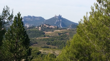 SUZETTE PAR LE CRETE DE SAINT-AMAND - LA POUSTERLE - LE COL DE LA CHAINE-vaucluse