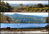 MAZAN-vaucluse