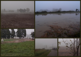 ST-SATURNIN-LES-AVIGNON - BORD DE LA SORGUE-vaucluse