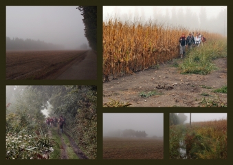 ST-SATURNIN-LES-AVIGNON - BORD DE LA SORGUE-vaucluse