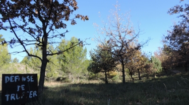 DE CAROMB VERS LE GROS PATA-vaucluse