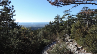 DE CAROMB VERS LE GROS PATA-vaucluse
