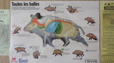 SEGURET - PREBAYON ET LA CHAPELLE D AUBUSSON-vaucluse