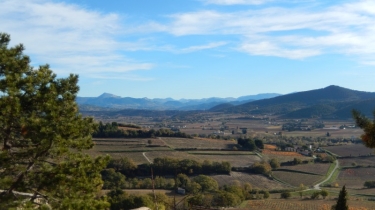 VIGNOBLE DE RASTEAU A LA COMBE DES AMOUREUX-vaucluse
