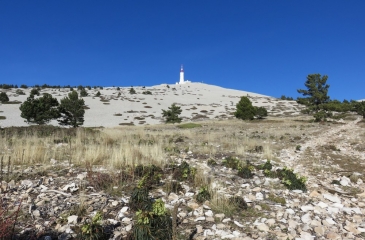 MONT VENTOUX - CRETE ET VERSANT SUD-vaucluse