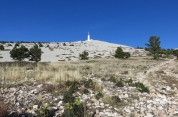 MONT VENTOUX - CRETE ET VERSANT SUD-vaucluse