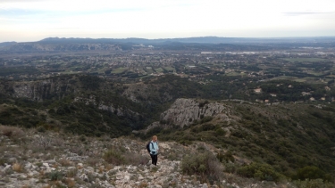 LES TAILLADES - CRANE DU COLOMBIER-vaucluse