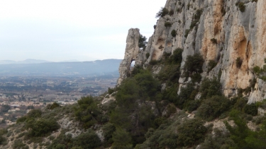 LES TAILLADES - CRANE DU COLOMBIER-vaucluse