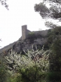 MORNAS - LA FORTERESSE - MOULINAS - LES CAPITELLES-vaucluse