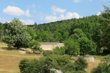 COMBE DE CLARE-vaucluse