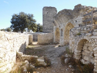 CHATEAU DE THOUZON-vaucluse