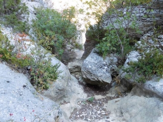 LES GORGES DE LA VERONCLE-vaucluse