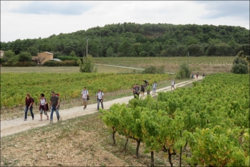 BEDOIN - LE GROS PATA - COMBE OBSCURE-vaucluse