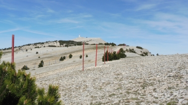 CRETE DU MONT VENTOUX-vaucluse