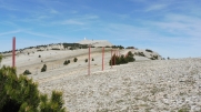 CRETE DU MONT VENTOUX-vaucluse