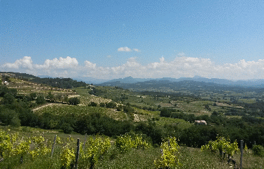 ROAIX - LE BOIS DES ABRIGEAUX-vaucluse